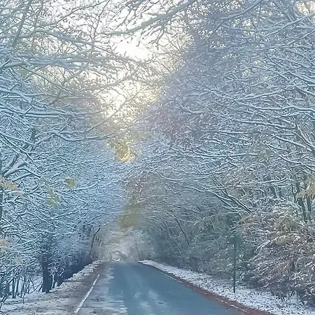 Seaton - Uk31990 Holiday home *