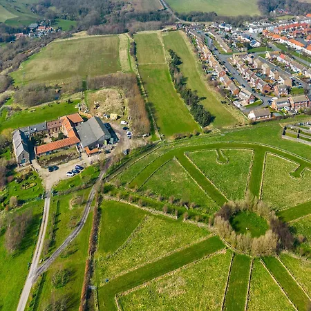 Seaton - Uk31990 Holiday home Staithes